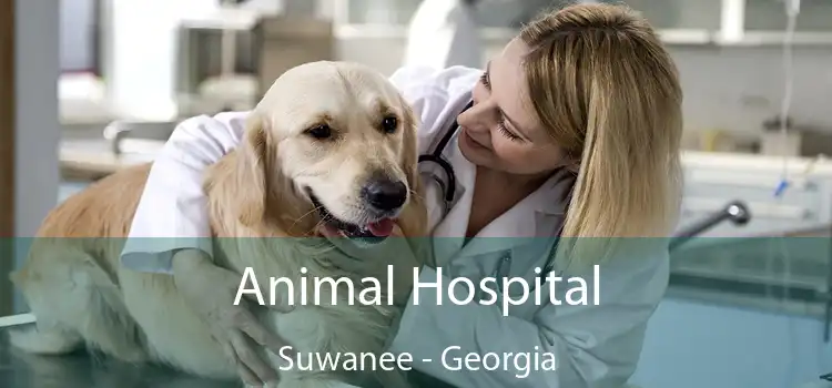 Animal Hospital Suwanee - Georgia