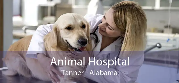 Animal Hospital Tanner - Alabama
