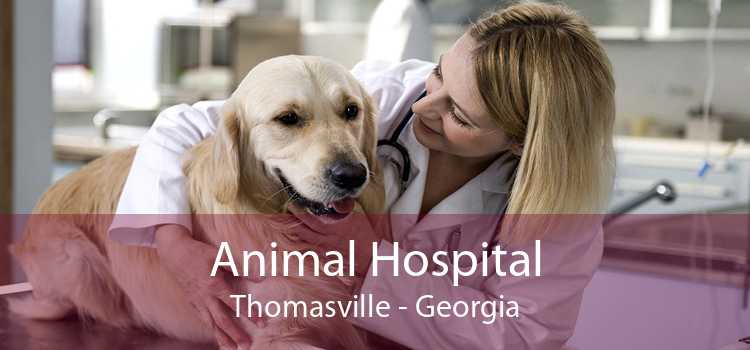 Animal Hospital Thomasville - Georgia