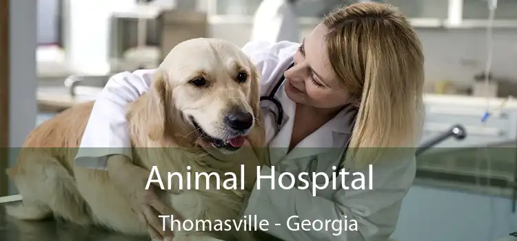Animal Hospital Thomasville - Georgia