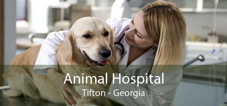 Animal Hospital Tifton - Georgia