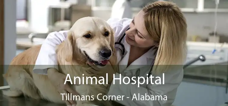 Animal Hospital Tillmans Corner - Alabama