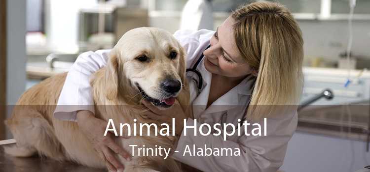 Animal Hospital Trinity - Alabama