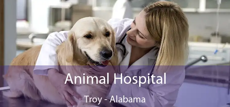 Animal Hospital Troy - Alabama