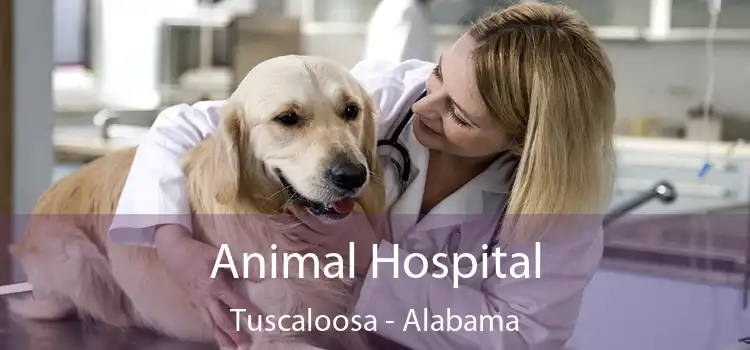 Animal Hospital Tuscaloosa - Alabama