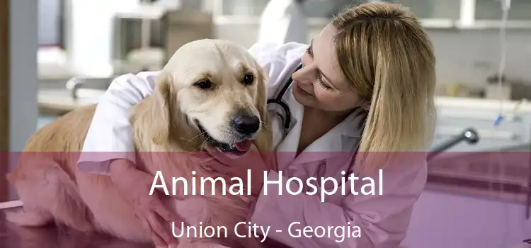 Animal Hospital Union City - Georgia