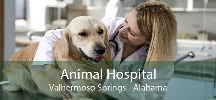 Animal Hospital Valhermoso Springs - Alabama