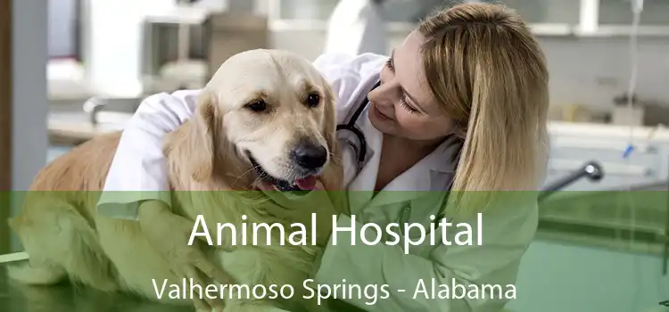 Animal Hospital Valhermoso Springs - Alabama