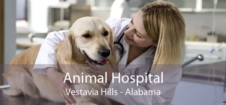 Animal Hospital Vestavia Hills - Alabama