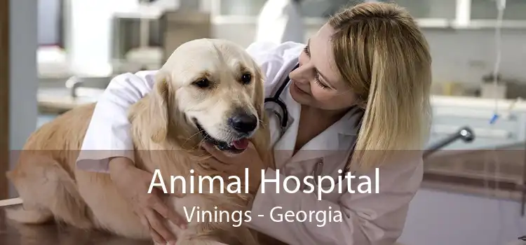 Animal Hospital Vinings - Georgia
