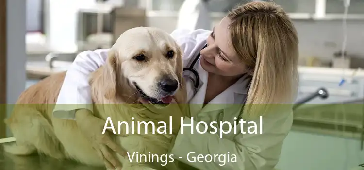 Animal Hospital Vinings - Georgia