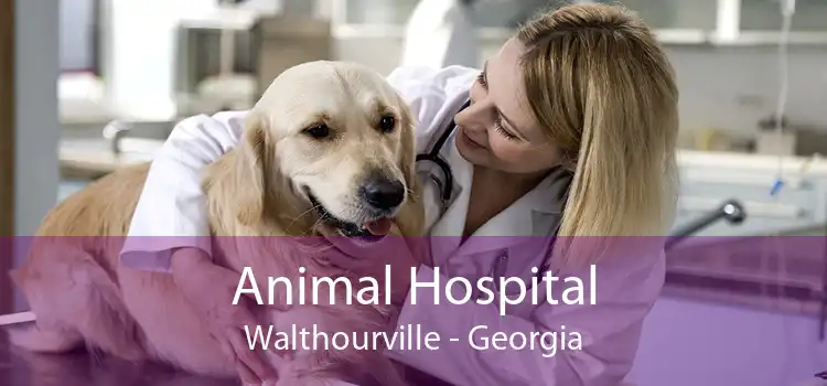 Animal Hospital Walthourville - Georgia