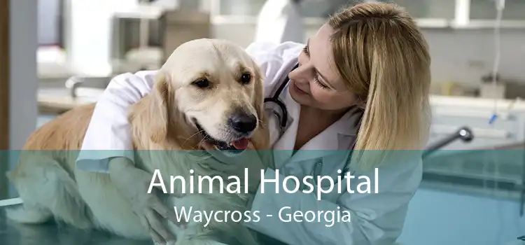 Animal Hospital Waycross - Georgia