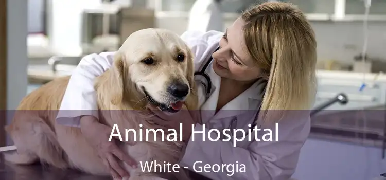 Animal Hospital White - Georgia