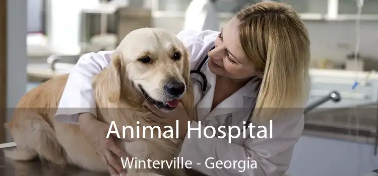 Animal Hospital Winterville - Georgia