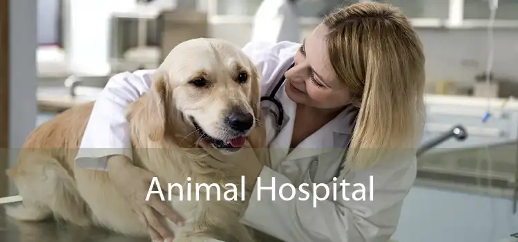 Animal Hospital