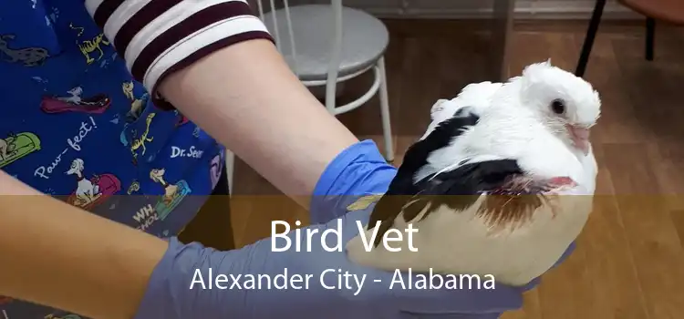 Bird Vet Alexander City - Alabama