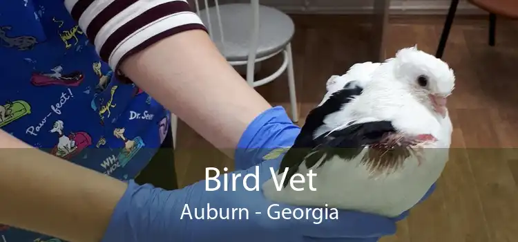 Bird Vet Auburn - Georgia