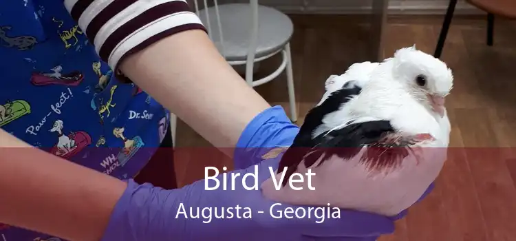 Bird Vet Augusta - Georgia