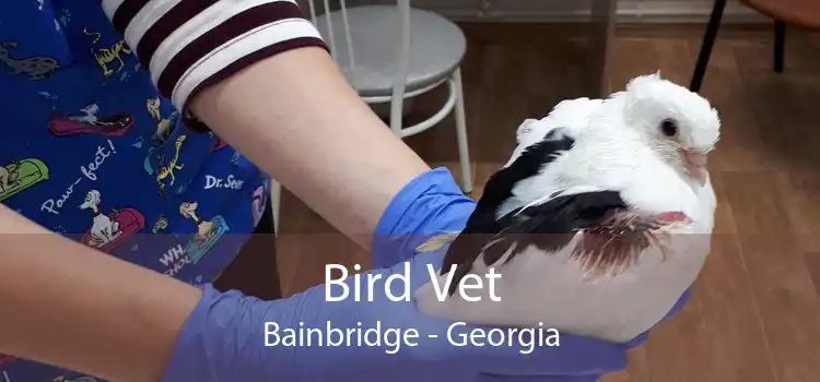 Bird Vet Bainbridge - Georgia