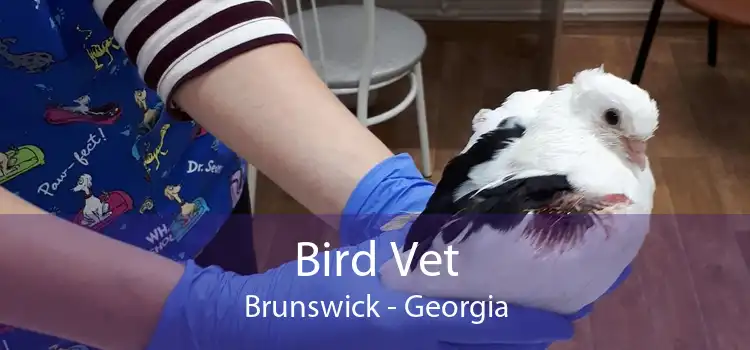 Bird Vet Brunswick - Georgia
