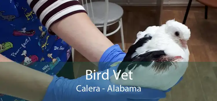 Bird Vet Calera - Alabama