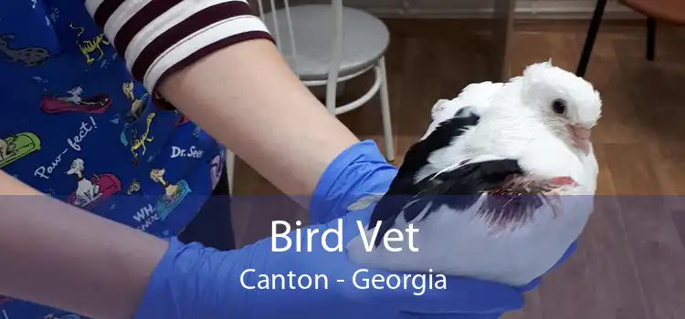 Bird Vet Canton - Georgia