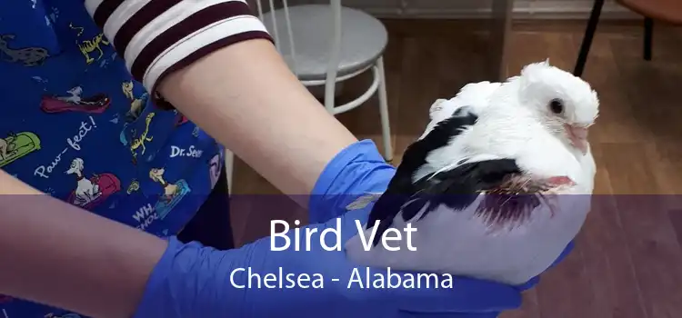 Bird Vet Chelsea - Alabama
