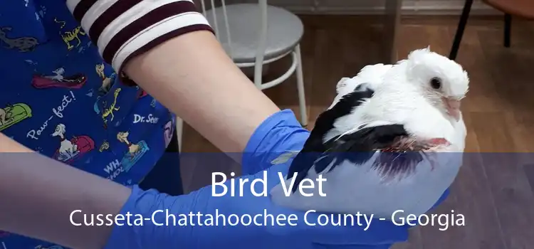 Bird Vet Cusseta-Chattahoochee County - Georgia