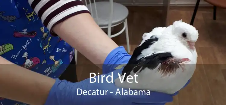 Bird Vet Decatur - Alabama
