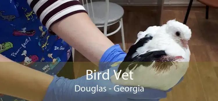 Bird Vet Douglas - Georgia