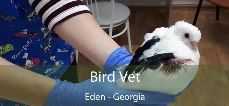 Bird Vet Eden - Georgia