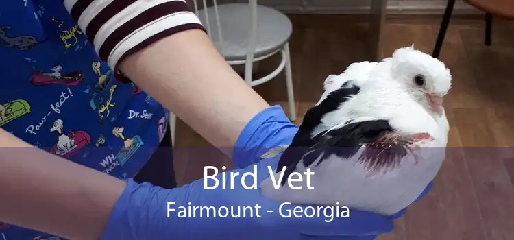 Bird Vet Fairmount - Georgia