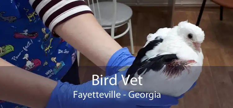 Bird Vet Fayetteville - Georgia