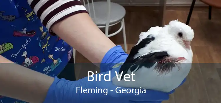 Bird Vet Fleming - Georgia