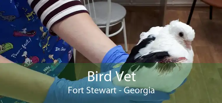 Bird Vet Fort Stewart - Georgia