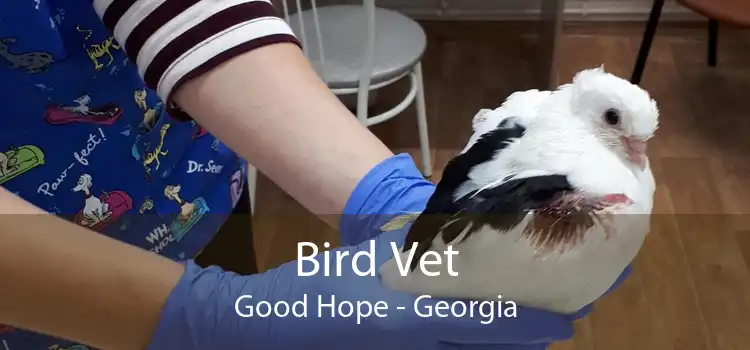 Bird Vet Good Hope - Georgia