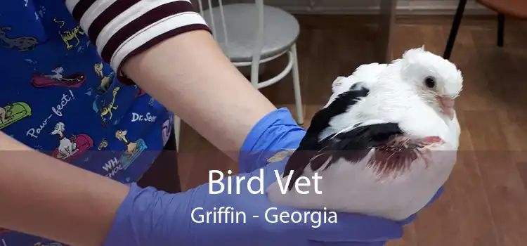 Bird Vet Griffin - Georgia