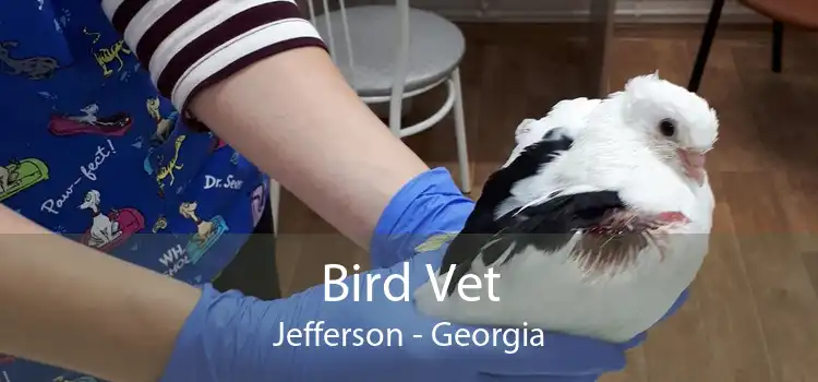 Bird Vet Jefferson - Georgia