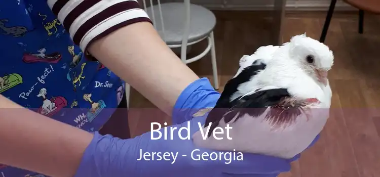 Bird Vet Jersey - Georgia