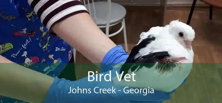 Bird Vet Johns Creek - Georgia
