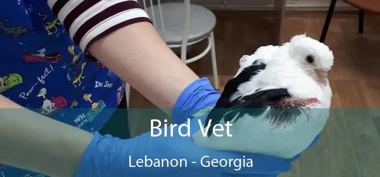 Bird Vet Lebanon - Georgia