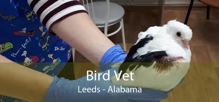 Bird Vet Leeds - Alabama