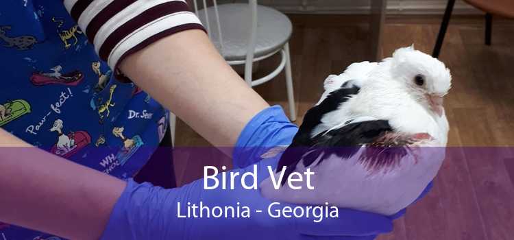 Bird Vet Lithonia - Georgia