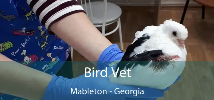 Bird Vet Mableton - Georgia