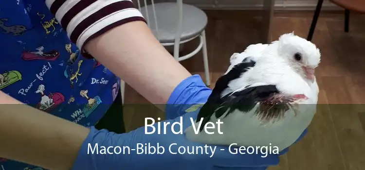 Bird Vet Macon-Bibb County - Georgia