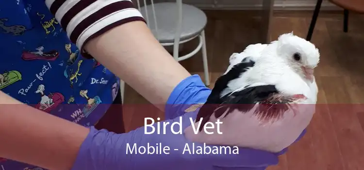 Bird Vet Mobile - Alabama