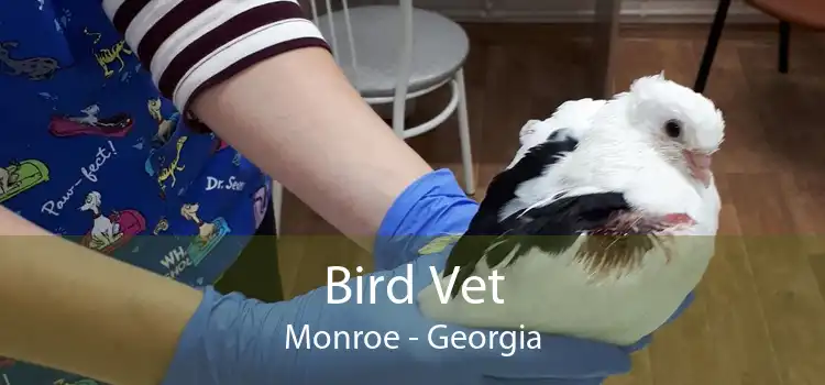 Bird Vet Monroe - Georgia