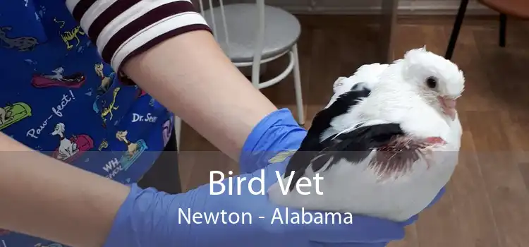 Bird Vet Newton - Alabama