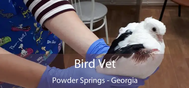 Bird Vet Powder Springs - Georgia